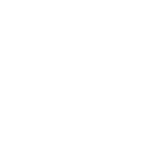 Inspired Learning Group