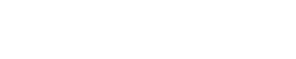 NielsenIQ Partner Network